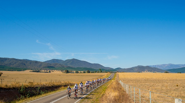 news-property-review-australia-property-professionals-ride-in-chain-reaction