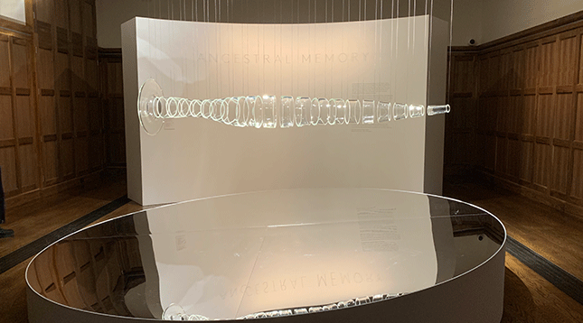 Glass Eel Trap by Maree Clarke